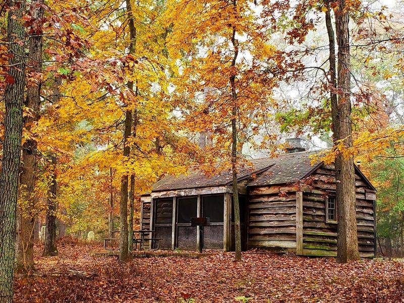 Why Parvin State Park feels unlike anywhere else in New Jersey