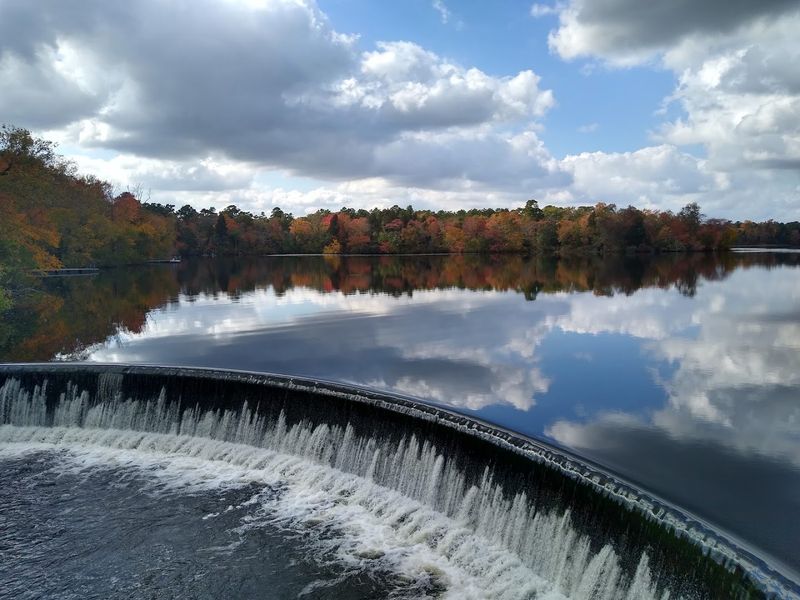 Why this South Jersey park deserves a spot on every nature lover&rsquo;s list