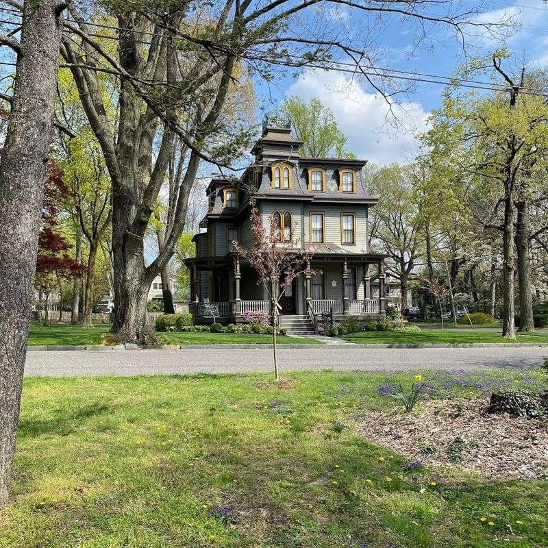 The Tree Lined Streets That Make You Slow Down and Stay Awhile