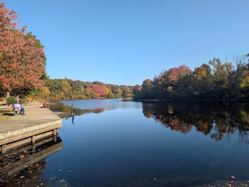 Turkey Swamp Park Lake (Monmouth County)
