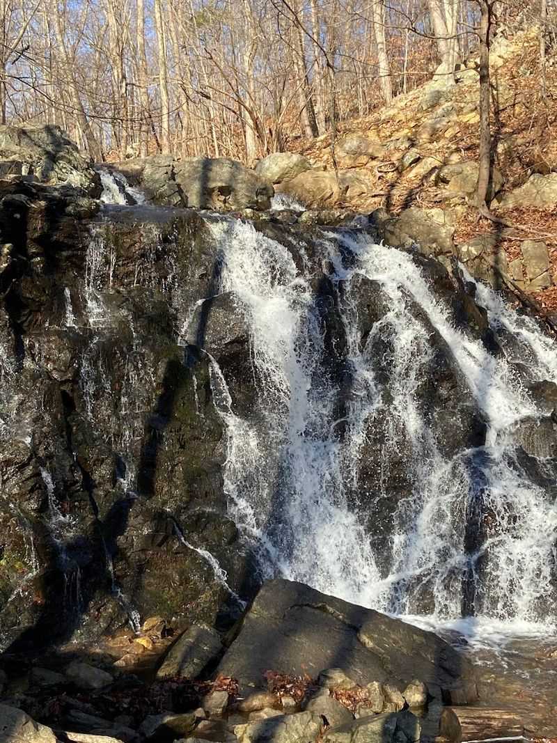MacMillan Falls
