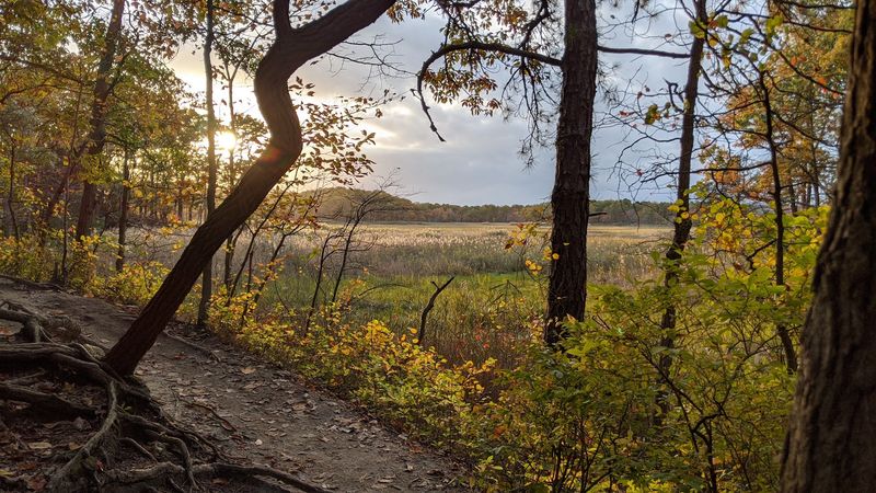 Cheesequake State Park, Matawan area (Middlesex County)