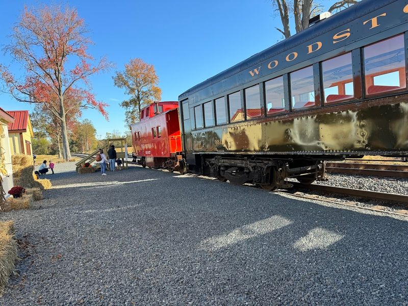 What Makes SMS Rail Lines Feel Different From a Typical Train Attraction