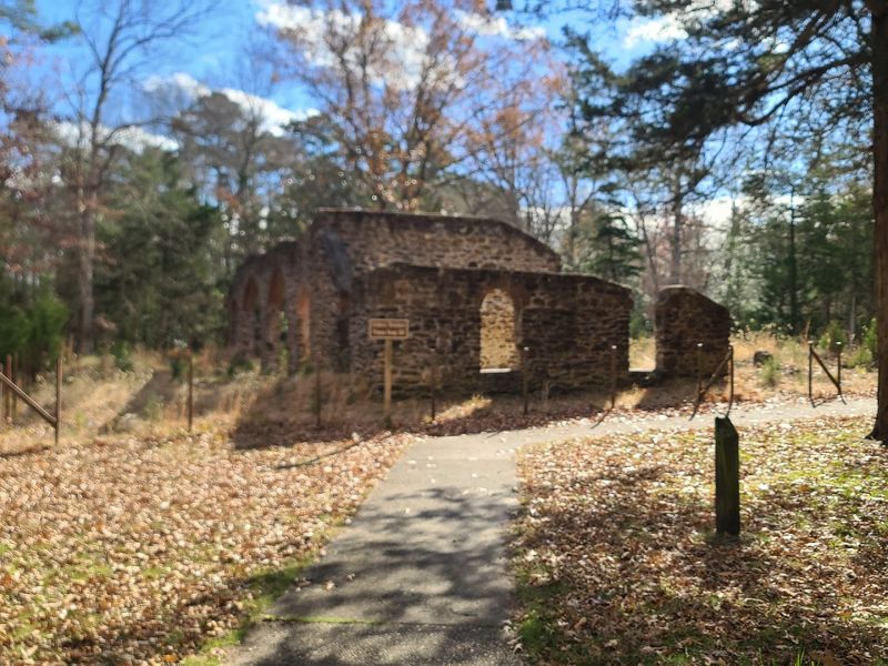 The eerie beauty of ruins being swallowed by the Pinelands
