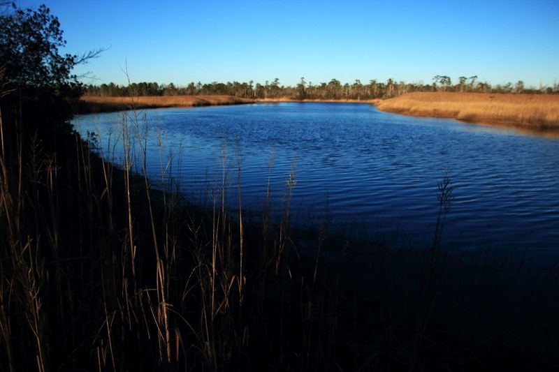 Great Egg Harbor River
