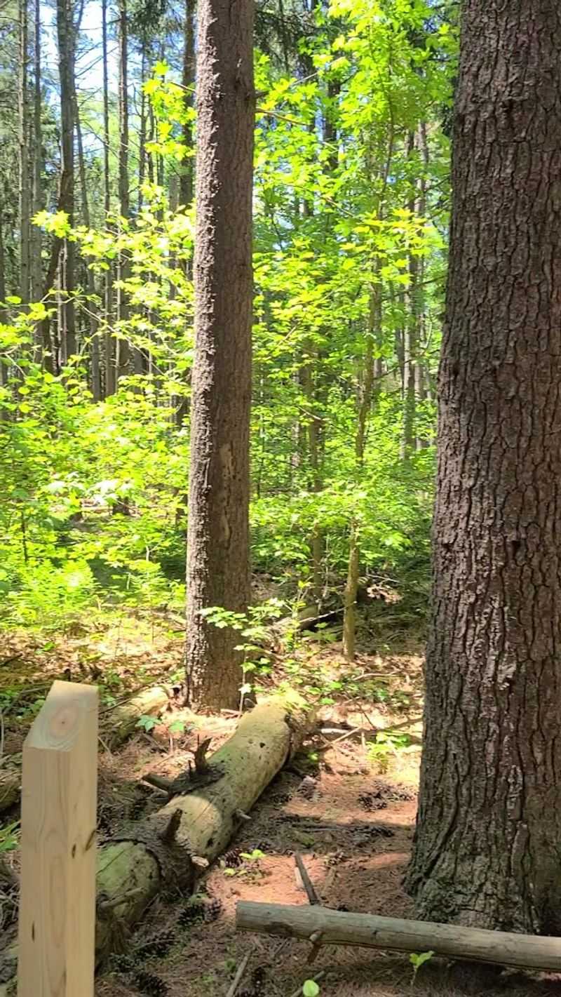 The Rancocas Nature Center Adds More Than Just a Walk in the Park