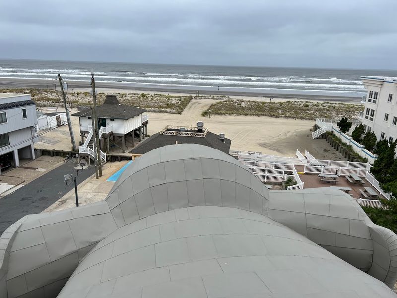 What it is like to climb inside Lucy and step out onto her back