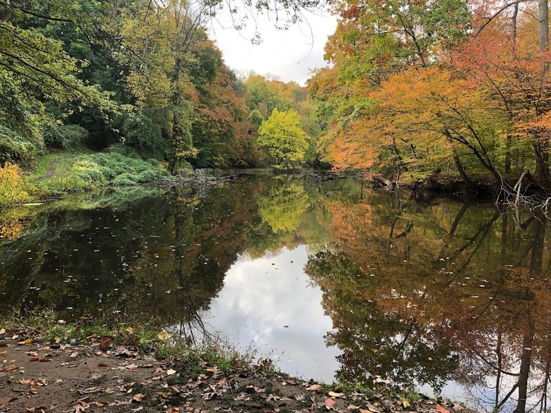 Passaic River Parkway