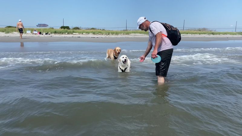 Longport Dog Beach