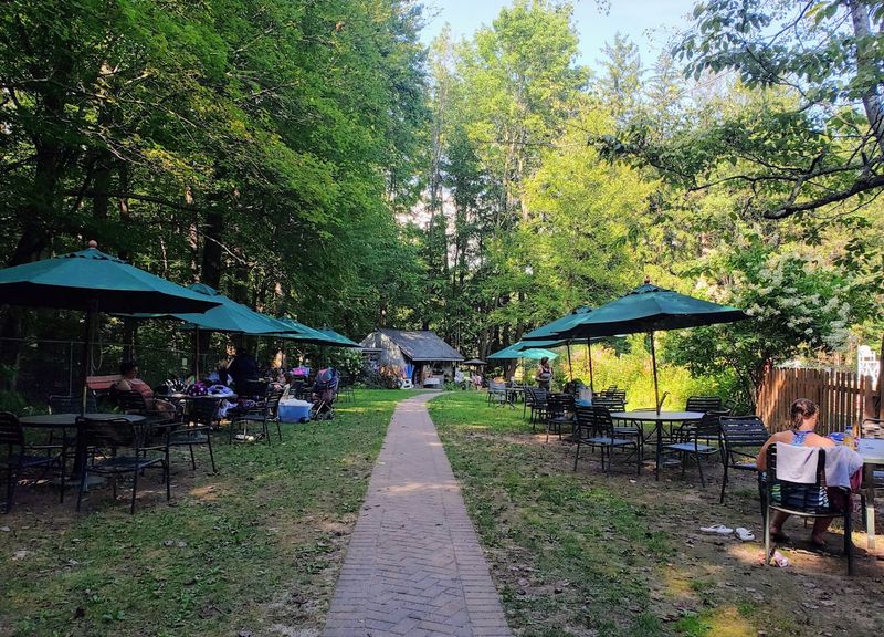 Why Families Keep Coming Back to This Natural Pool Year After Year