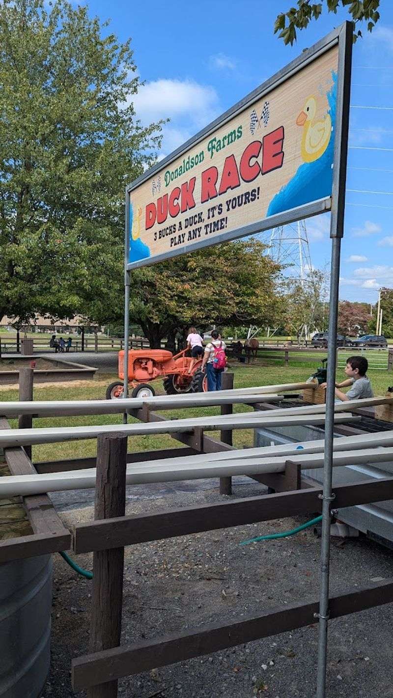 The Giant Pickle and Other Little Surprises That Catch First Timers Off Guard