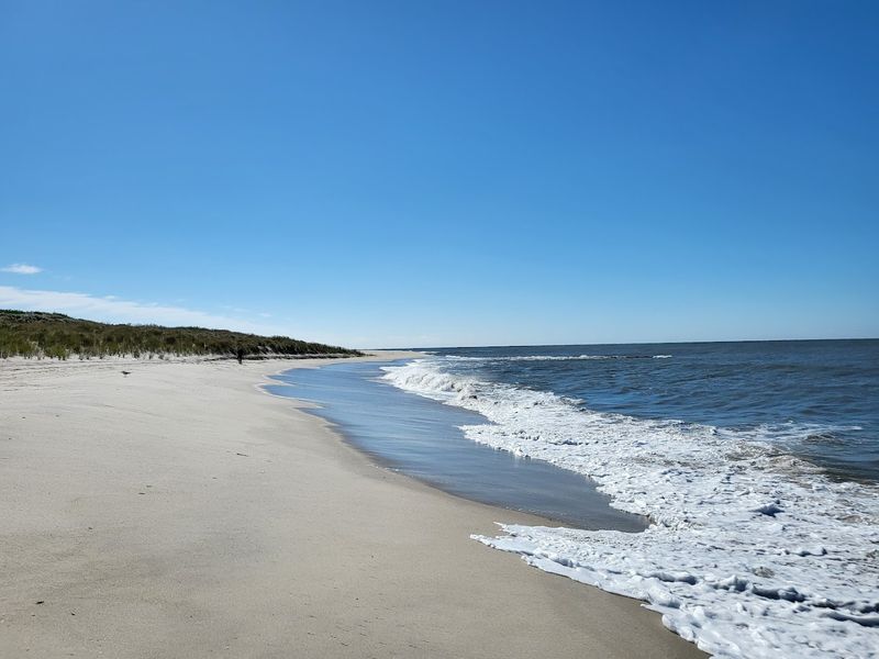 Pearl Beach / Cape May Point State Park