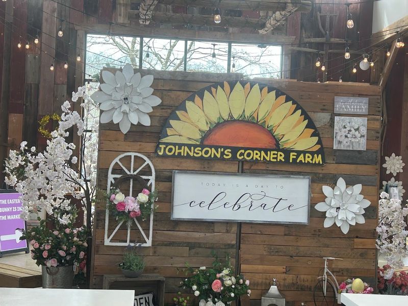 Johnson&rsquo;s Corner Farm