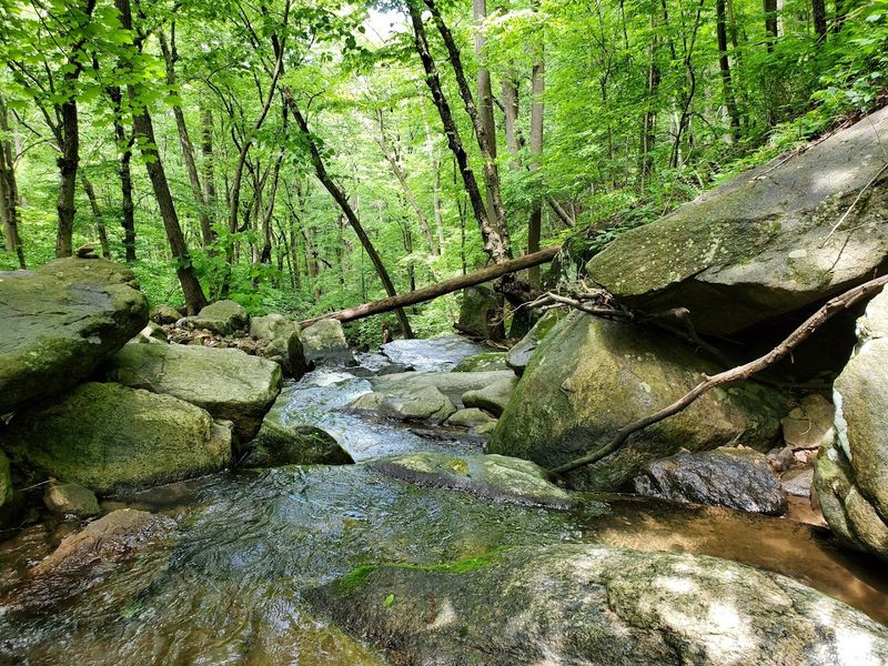 Musconetcong Gorge Trail