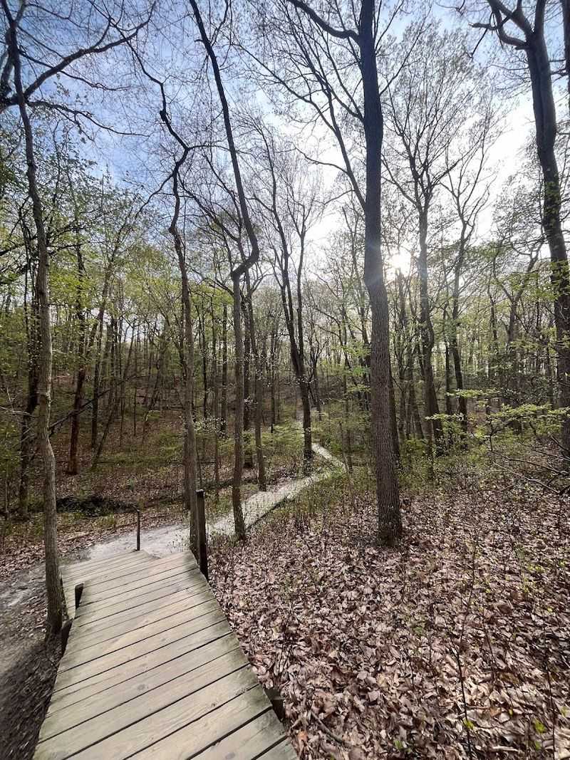 Cheesequake State Park Multi-Use Trail