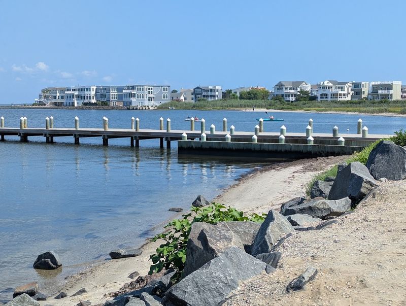 What Makes This Narrow Stretch of Long Beach Island So Special