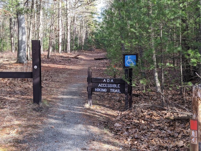 Brendan T. Byrne State Forest — Pakim Pond Accessible Trail