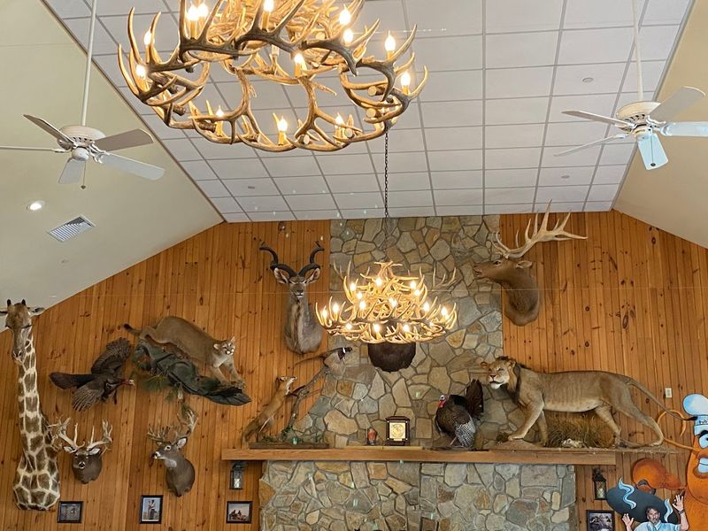 The Fireplace Alone Is Worth Looking Up From Your Plate