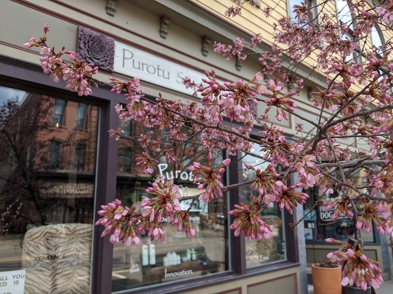 Bridge Street, Frenchtown