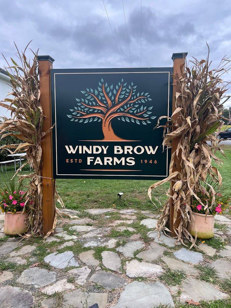 The Hidden Charm That Keeps People Coming Back Season After Season