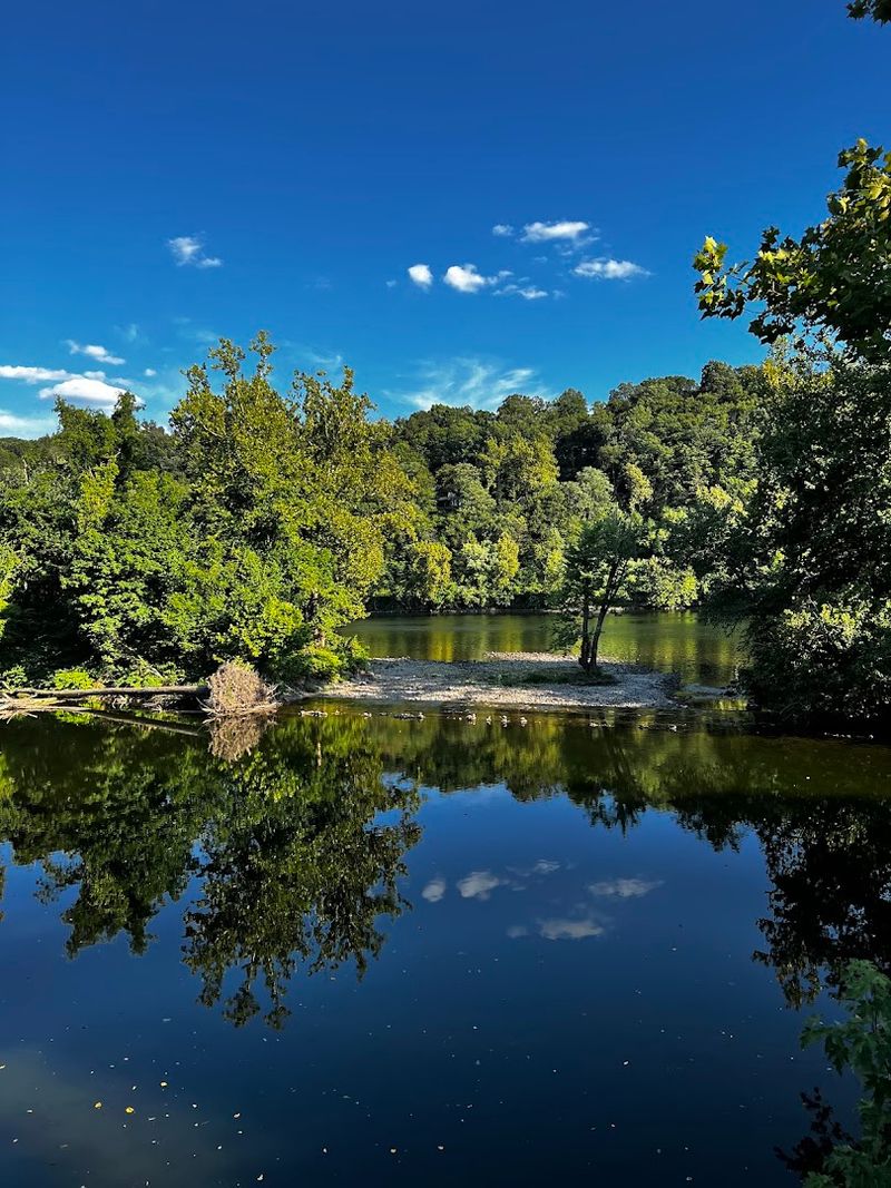 The Quiet Wildlife and Waterside Views That Steal the Show