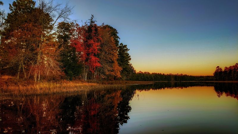 Wharton State Forest