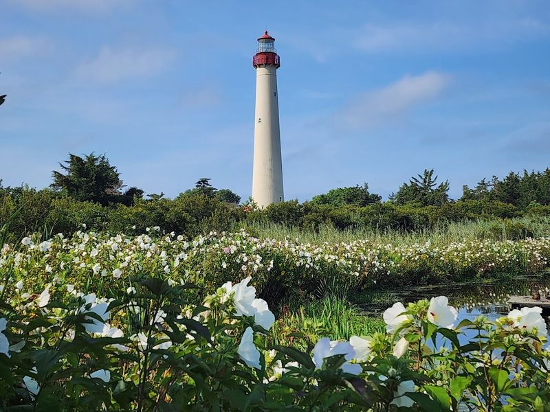 Cape May Point State Park