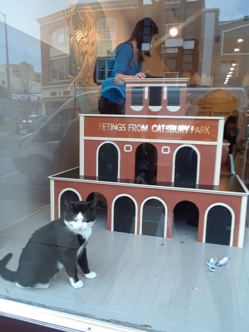 Catsbury Park, Asbury Park