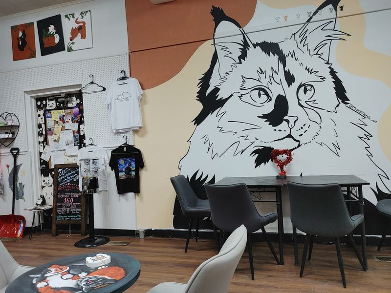 Calico Cat Caf&eacute;, Oaklyn