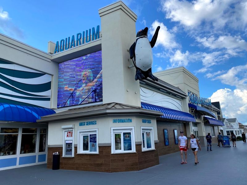 Jenkinson’s Boardwalk & Aquarium - Point Pleasant Beach