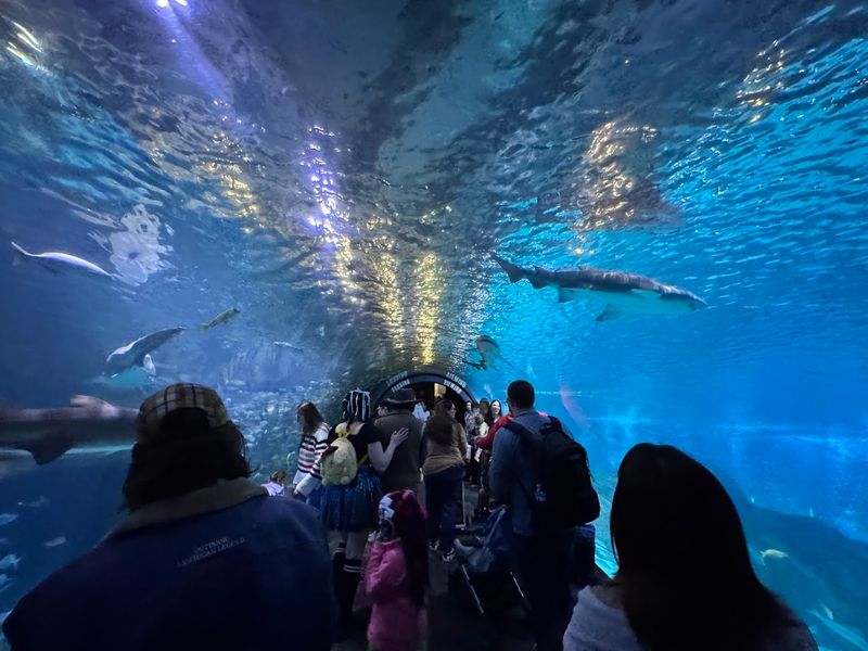 Adventure Aquarium - Camden