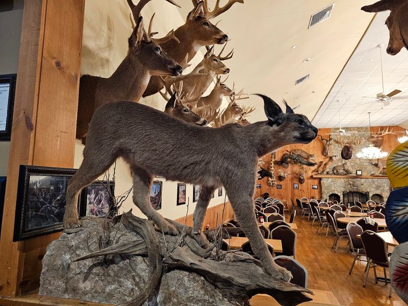 The Taxidermy Collection Is the Main Attraction