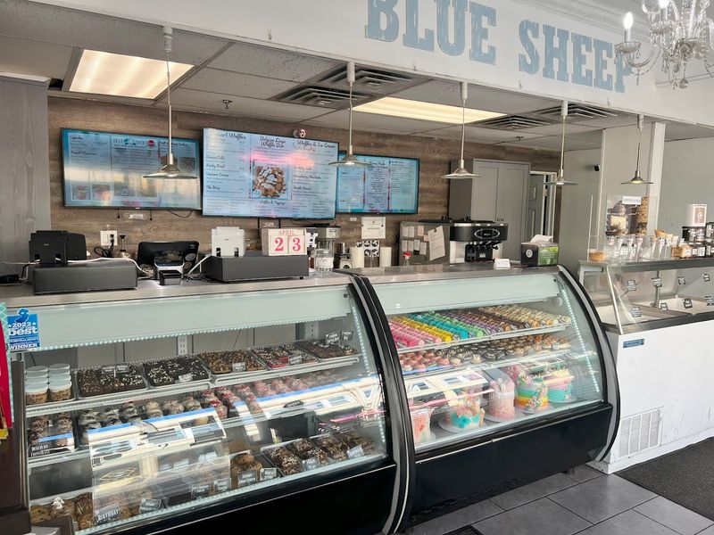 Blue Sheep Bake Shop - Somerville