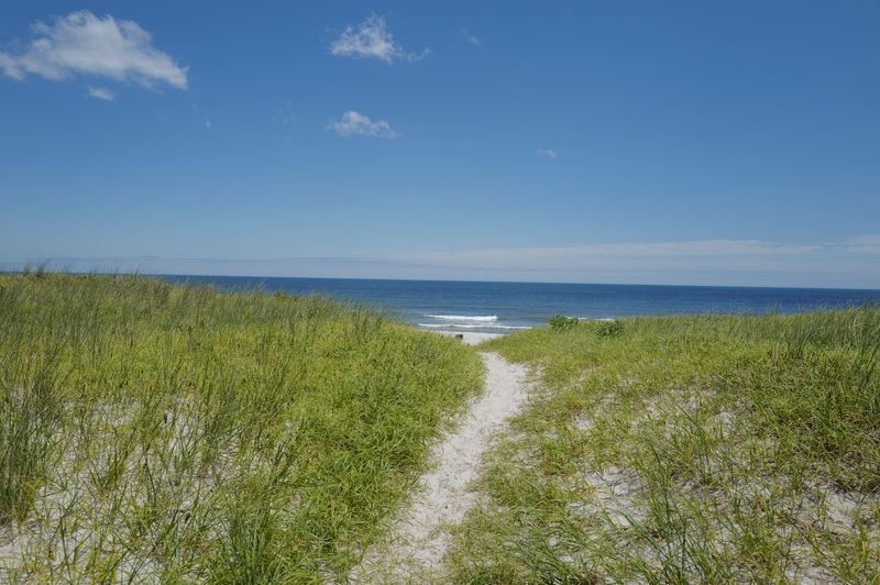 Island Beach State Park