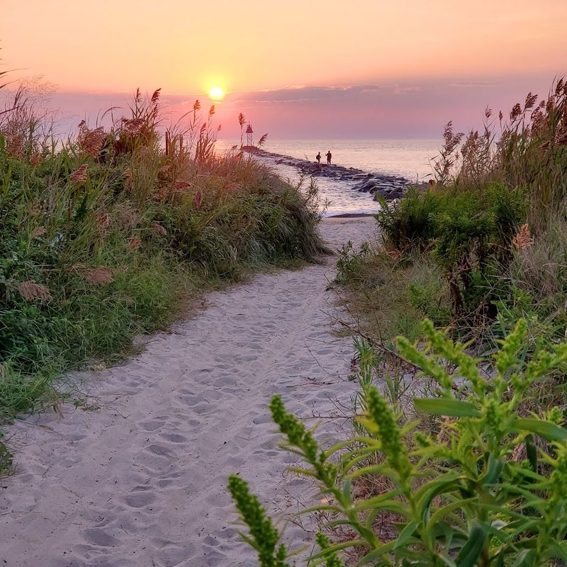 Higbee Beach Wildlife Management Area, Lower Township (Cape May County)