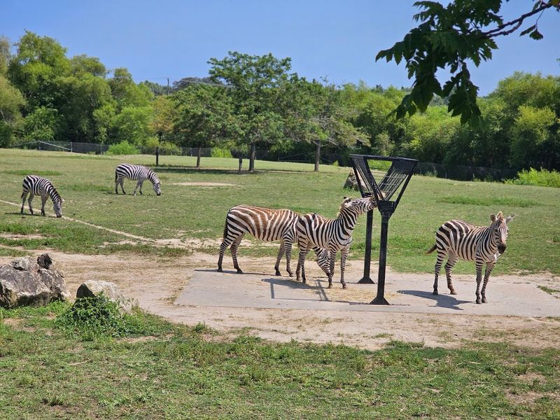 Cape May County Park & Zoo, Cape May Court House