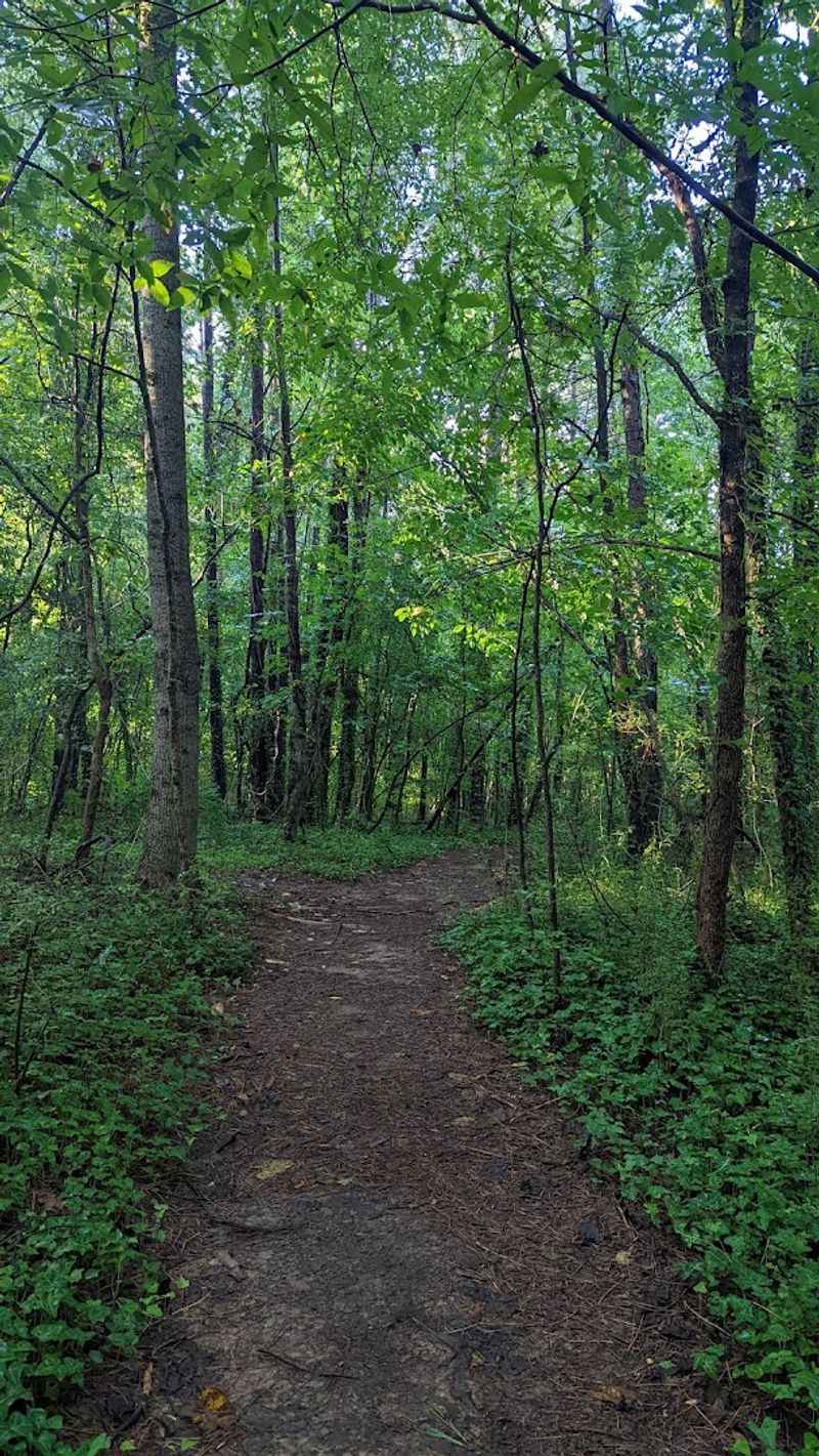 The Preserve at Mannington Meadows Accessible Trail