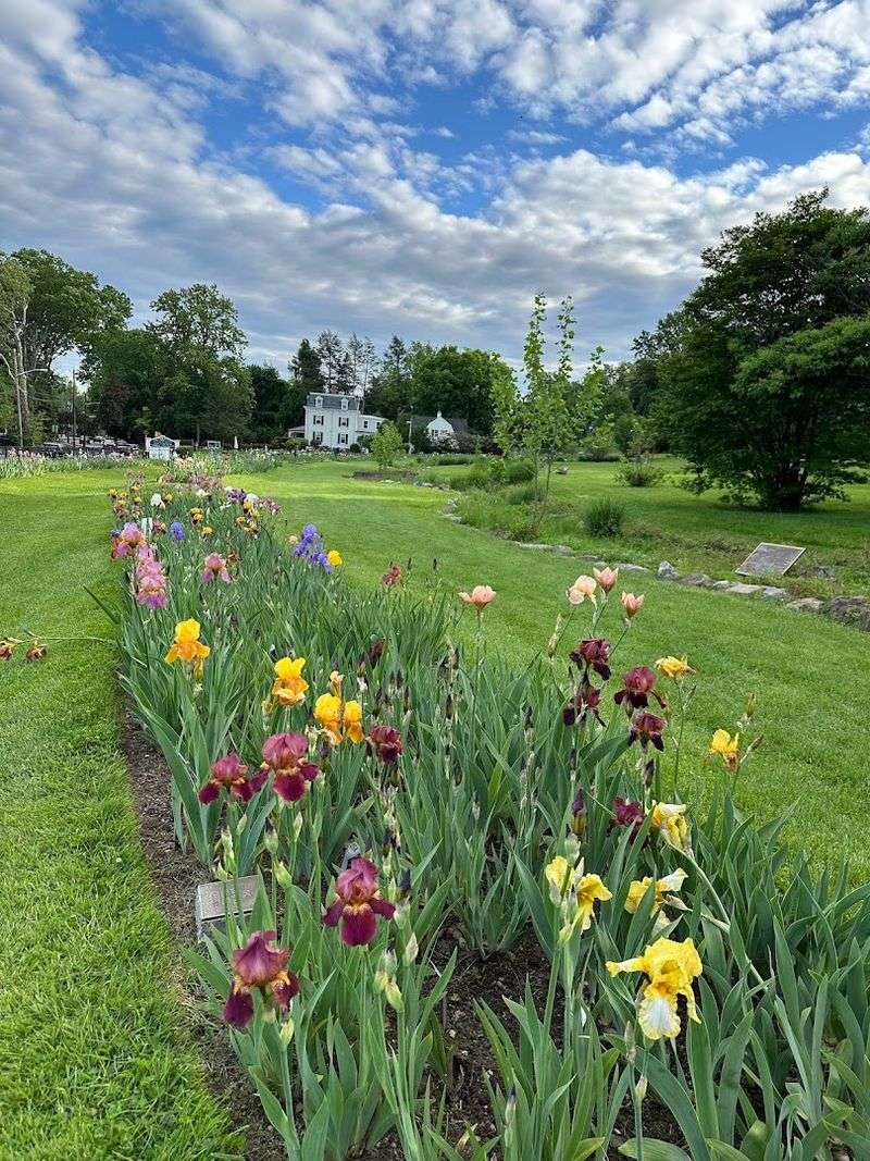 The New Jersey hillside that turns into a rainbow each spring