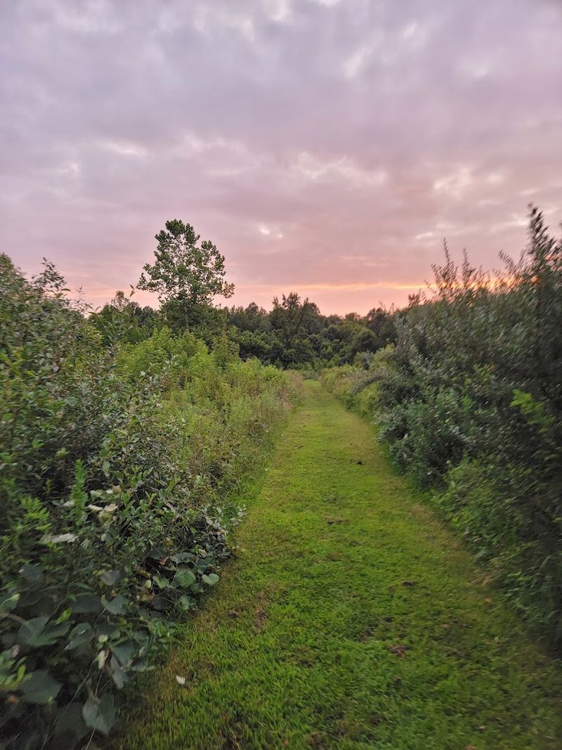 Wildlife, Wetlands, and Woods Come Together in One Underrated Place
