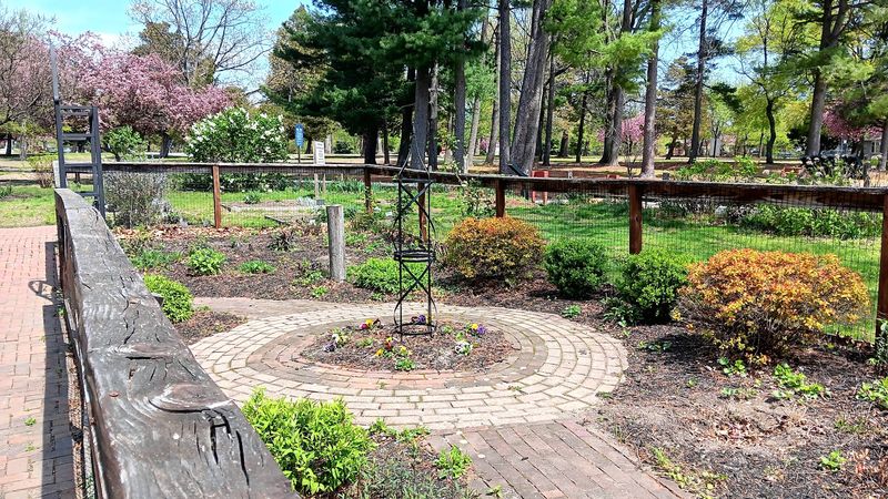 The day Ann Whitall stayed put while war closed in