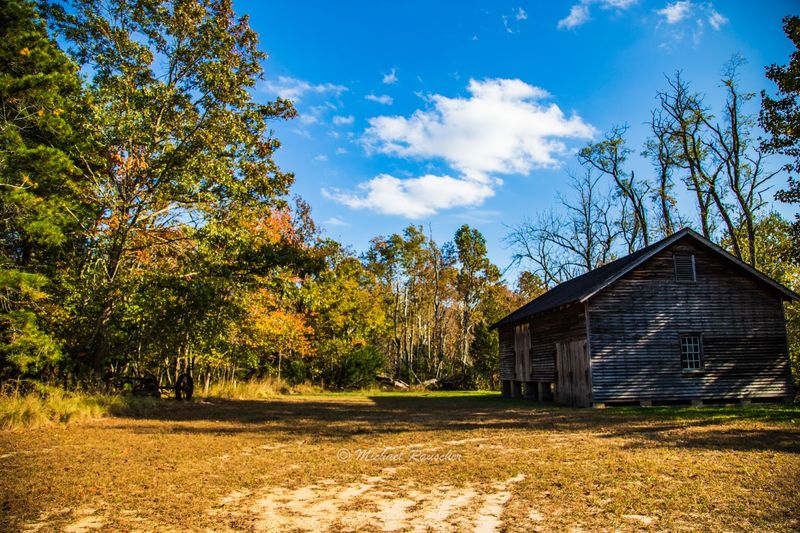 Double Trouble State Park, Bayville (Ocean County)