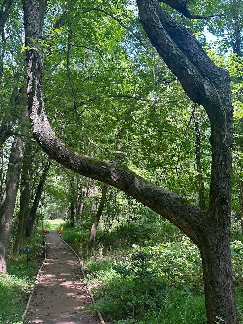 The Creekside Trails Make This Burlington County Escape Worth Finding