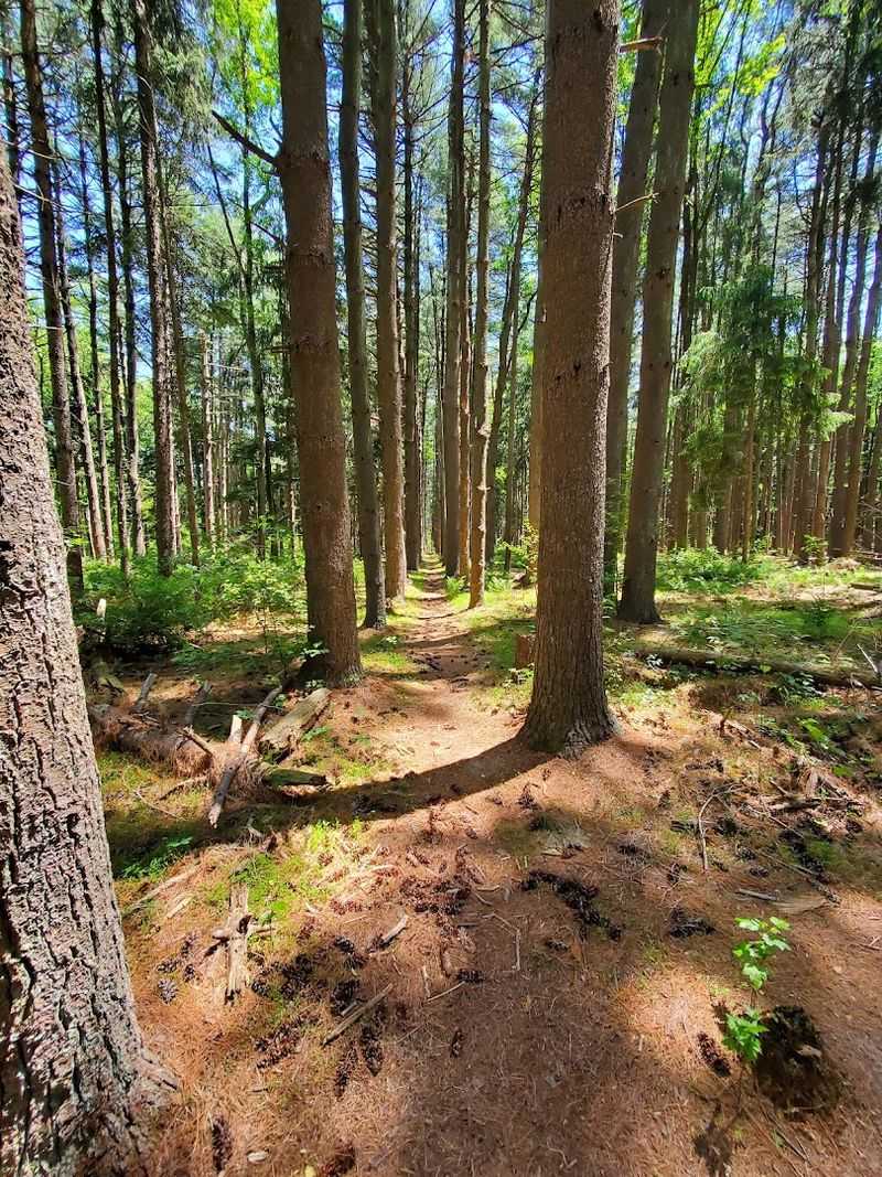 This Is the Kind of Quiet New Jersey Rarely Gets Credit For