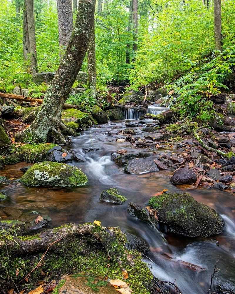 Tillman Ravine Trail