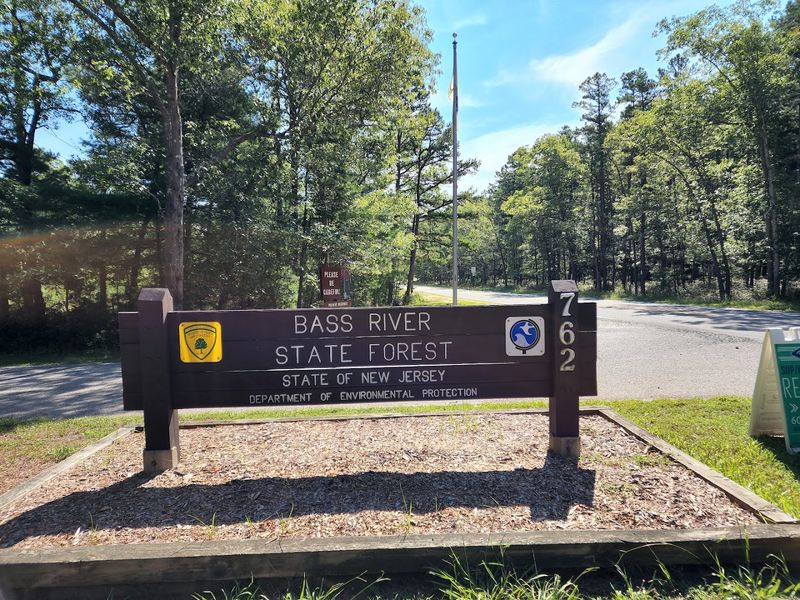 Bass River State Forest