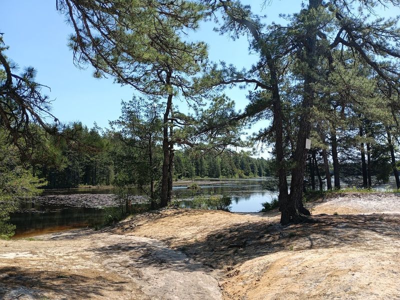 Batsto Lake Trail