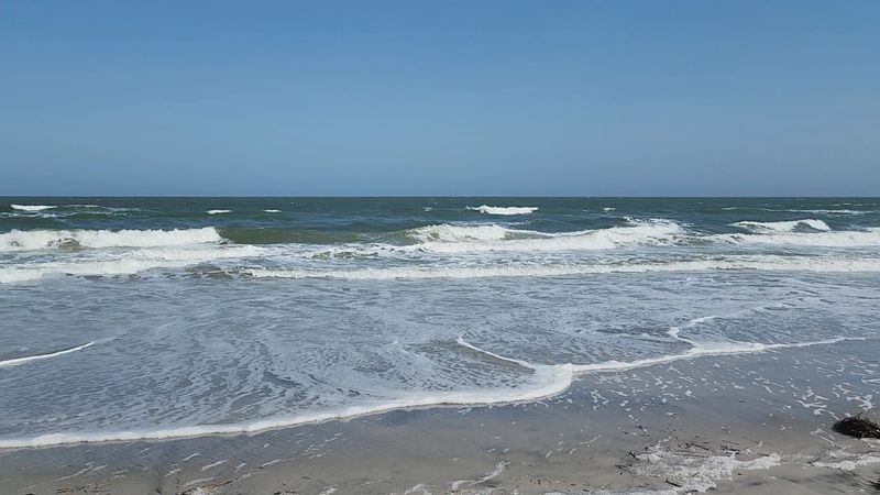 North Brigantine Natural Area