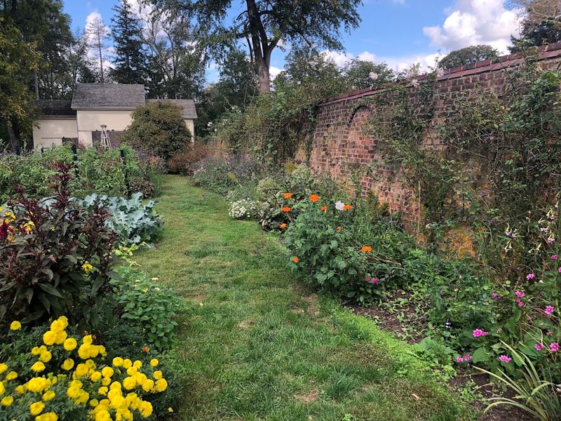 The Gardens, Grounds, and Quiet Charm That Make Morven Worth the Trip