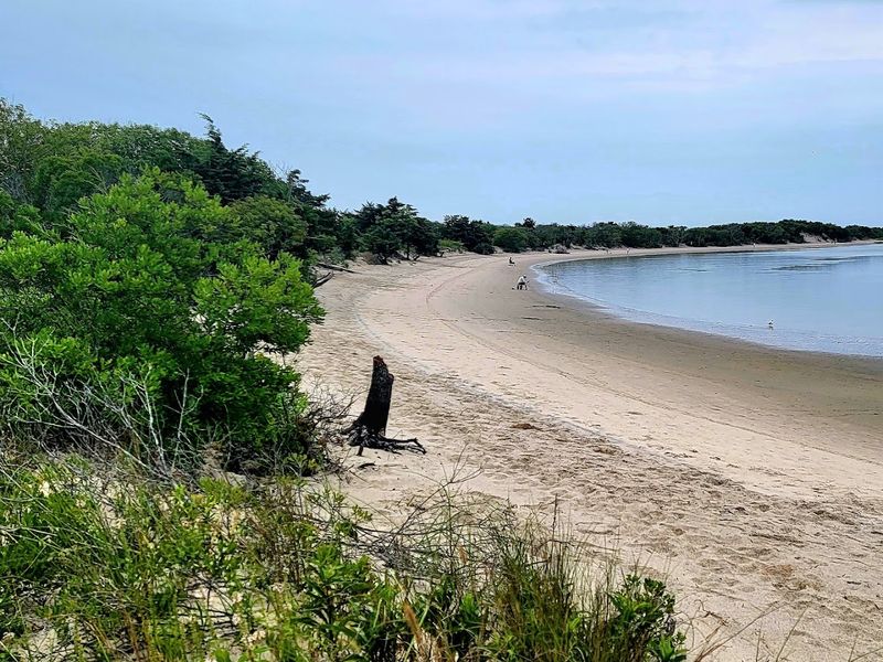 Corson&rsquo;s Inlet State Park Beach, Ocean City/Strathmere area