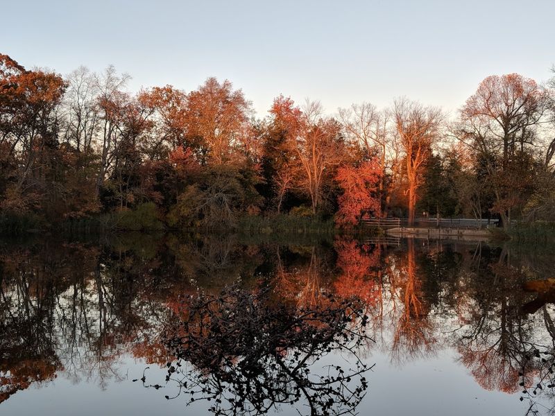 The best times of year to experience Parvin at its most beautiful